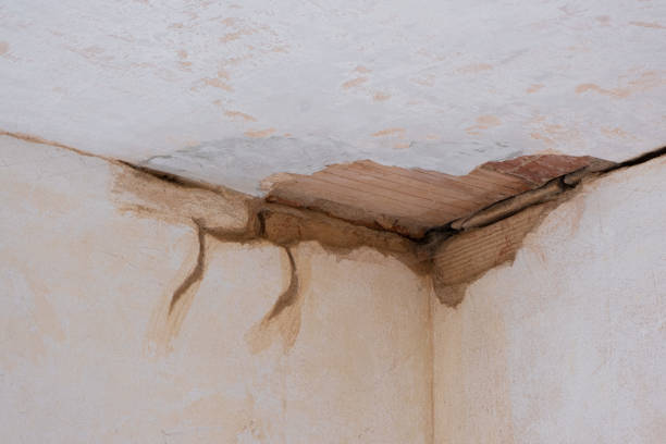 Best Water damage restoration near me  in Springfield, KY