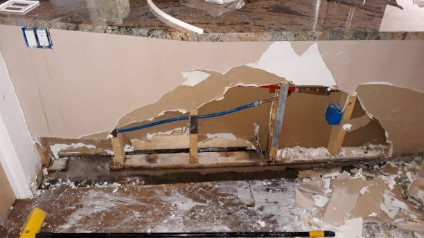 Best Carpet water damage restoration  in Springfield, KY