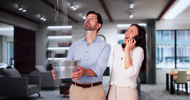 Best Professional water damage repair  in Springfield, KY